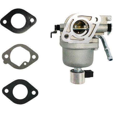 Carburateur 699807 697722 4045A7 405577 406577 407577 808-019 (1/4)