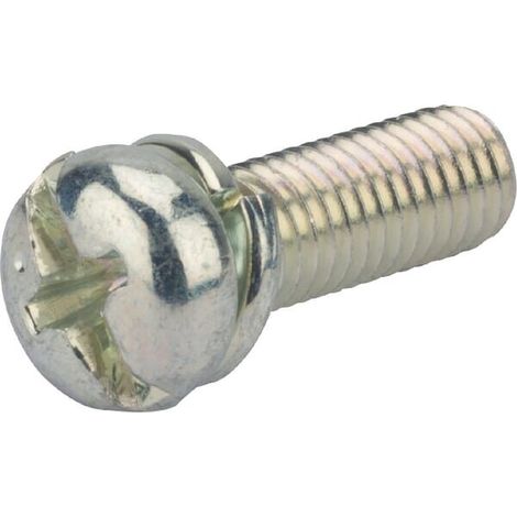 Vite BRIGGS ET STRATTON 695407