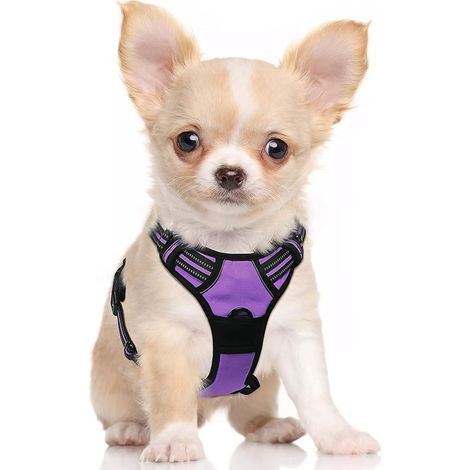 Harnais chien anti-traction violet S, gilet réfléchissant réglable, attache devant, pour Bouledogue Français, Berger Australien, randonnée, voiture – DELKEVIC (1/5)