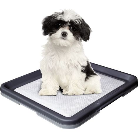 Nobby Doggy Trainer Ersatzpads 24 Stück Größe S Welpenunterlage