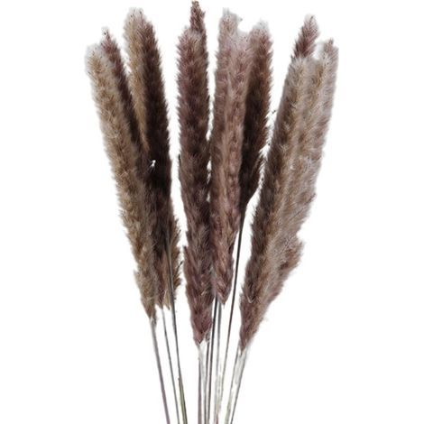 Petites herbes de la pampa séchées, phragmites naturels, décoration pour accessoires de photographie de mariage et d'hôtel (1/4)