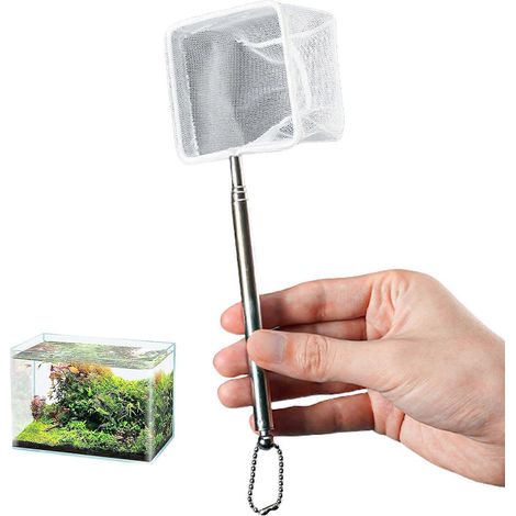 Épuisette télescopique réglable pour le nettoyage d'aquarium, avec poignée en acier inoxydable et maille fine en nylon, adaptée au nettoyage des aquariums, S carré S (1/5)