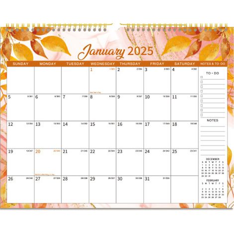 Calendrier mural 2025 - Calendriers muraux 2025, janvier 2025 - décembre 2025, grand calendrier mural 2025 à spirale, calendrier mural à suspendre avec papier de qualité supérieure, grandes cases (1/5)