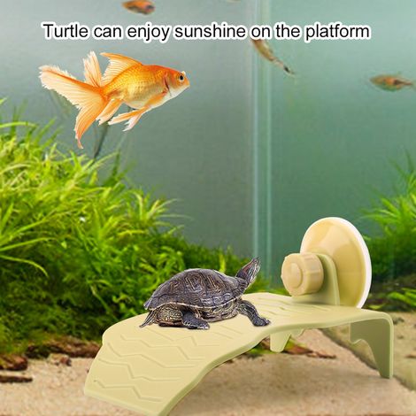 Plateforme flottante d'escalade pour tortue en plastique (Jaune, S) (1/5)