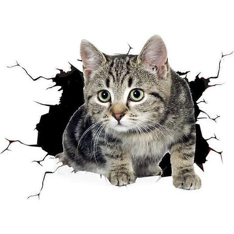 Autocollant de voiture chat mignon 3D pour masquer les rayures, autocollant de voiture mignon et créatif personnalisé chat 2415cm (1/5)