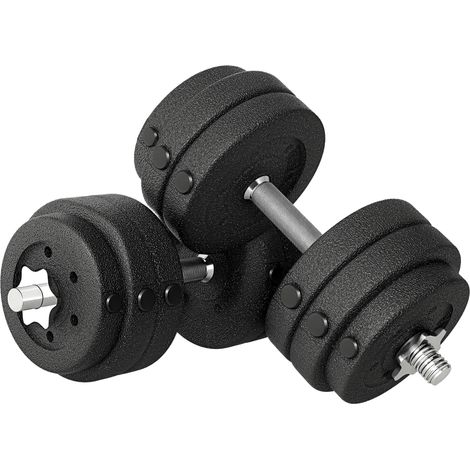 Set Pesi Manubri da 30 kg (8x2.5 kg, 4x1.5 kg) con 12 Dischi e 2 Manubri da 2 kg, 43x18x7.5 cm, Nero