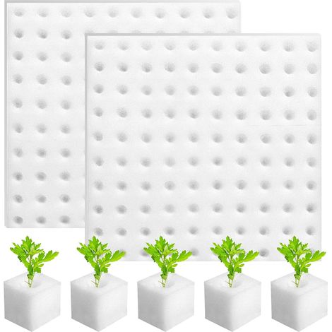 200 spugne quadrate per semina 25 x 25 x 25 mm, spugne per attrezzi da giardinaggio, cubetti di schiuma idroponica, spugne cubiche per talee, coltivazione e trapianto di piantine (bianche)