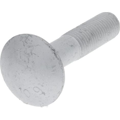 Vite a testa piatta M16x75 10,9 LEMKEN 3012279 (1/2)
