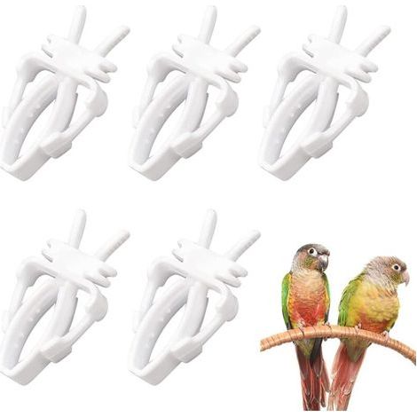 Pince à Fruits pour Oiseaux, Outil de Fruit de Perroquet Oiseaux, Porte-Nourriture pour Oiseaux, Mangeoire pour Cage à Oiseaux, Mangeoire À, Mangeoire à Oiseaux pour Cage à Oiseaux, 5 pièces (1/5)