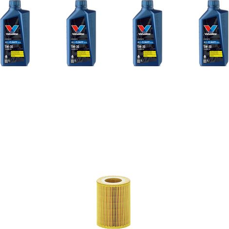 Kit filtro olio e 4L compatibile con Renault Kangoo 1.2 16v 55kw dal 2001 (1/5)