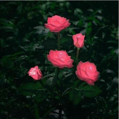 Lampes solaires à LED en forme de roses artificielles pour extérieur, décoration de jardin, cour, patio, tombe, cimetière, balcon, décoration de Noël – Rose (1/5)