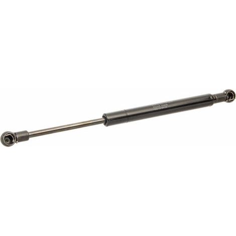 Cylindre à gaz Stabilus pour portes Case Magnum 7250 1280263C1 3581879M2