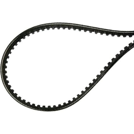 Correa trapezoidal AS-MOTOR E11800ASM (1/2)
