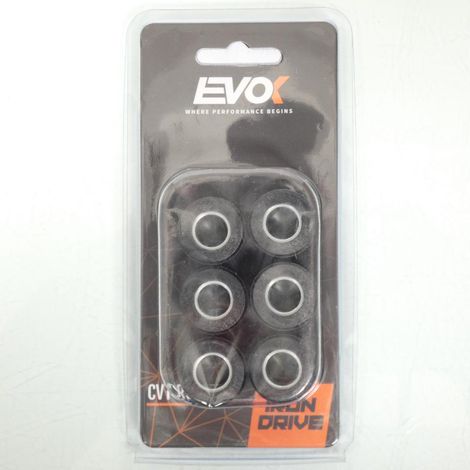 Variomatik-Rolle EVOK für Roller Yamaha 300 X-Max Tech Max ab (1/4)