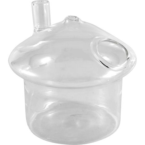 Vase suspendu en verre en forme de champignon pour aquarium (1/5)