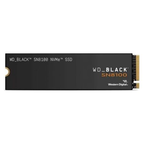 Disco Duro Western Digital WDS200T1X0M 2 TB SSD