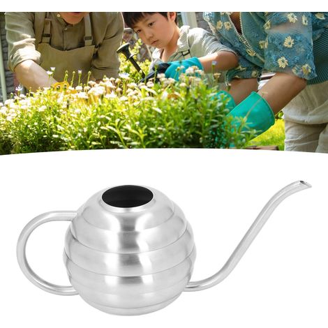 Arrosoir en Acier Inoxydable 400ml Argent, Pot d'Arrosage Long Jet Multifonction Portable pour Plantes D'Intérieur et Jardinage (1/5)