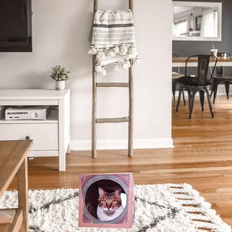 Túnel para gatos [Casa de papel Kraft] Túnel interactivo para gatos con escondite y mecanismo de resorte – 61 cm de largo, retráctil y portátil. (1/5)