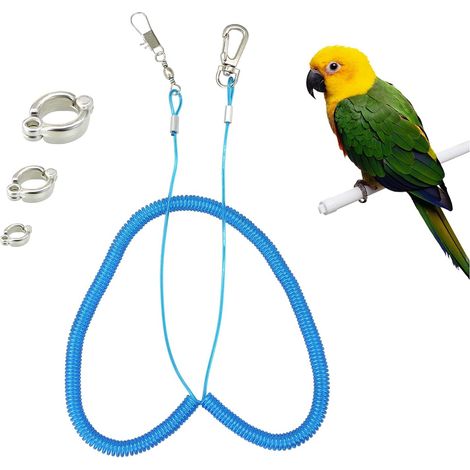 Parrot Flying Rope, 5M Parrot Foot Chain Outdoor Flight Training Strap Elastic Rope Training Harness Anti-bite for Agapornis Fischeri (1/5)
