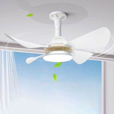 Ventilateur de Plafond avec Lumière et Telecommande, 62CM 48W Petit Dimmable Ventilateur Plafond LED, Lustre Ventilateur (1/5)