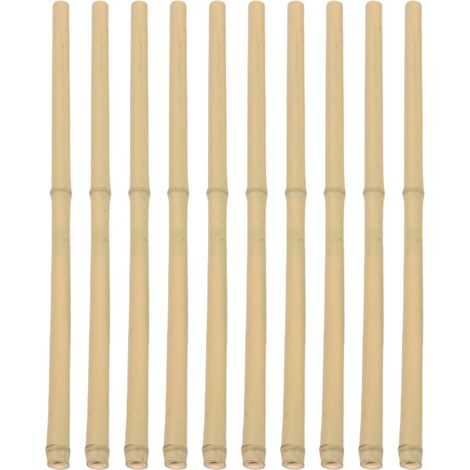 10 Stück Bambus Rankstäbe 50 cm Lange Naturbambusstäbe für