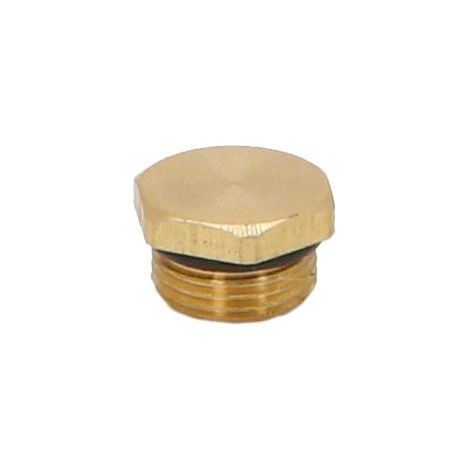 BOUCHON DE VIDANGE JS AVEC JOINT TORIQUE DN10, 3/8", LAITON (1/2)
