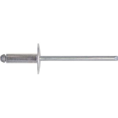 10 x CONF RIVETTI ALLUMINIO TESTA LARGA 4,8X16 50 PZ (1/2)