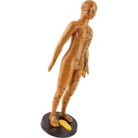 Modèle d'acupuncture du corps féminin : méridiens couleur cuivre, modèle de points d'acupuncture (1/5)