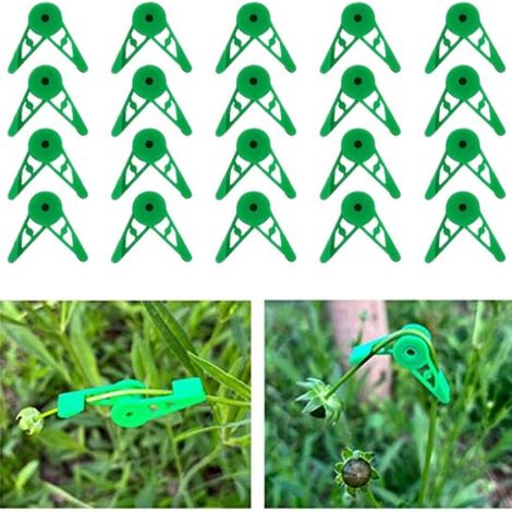 20er-Packung grüne, um 360° verstellbare Pflanzenbiegeclips, 35 x 10 x 2 mm, schonendes Stängeltraining (1/5)
