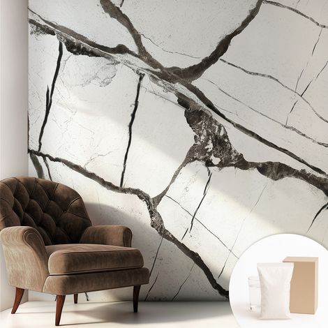 Carta Da Parati Non Tessuto - Con Colla Gratuita - Con Motivi Moderni - Design Elegante Per Pareti crepe nel marmo 250x250 cm (1/5)