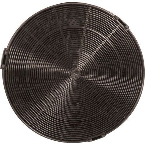 Filtro de carbón WPRO tipo F196 / FAC529 (1/3)