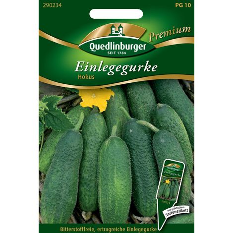 Quedlinburger Saatgut – Cornichon « Hokus » – Graines de légumes, pour culture en plein air, fruits env. 9 cm (1/2)
