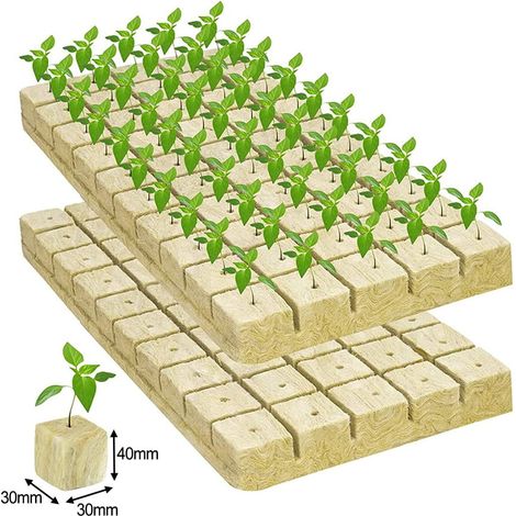 Cube De Laine De Roche - Culture Hydroponique Sans Sol - Pour Semis Et Enracinement De Plantes - 25x25x25 mm - 50 Pièces (1/5)