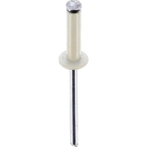 rivet épanoui blanc ø 4 x 16 mm plaque d'immatriculation (1/3)