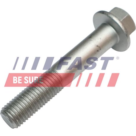 Tornillo de brazo de control rápido FT17401 (1/2)