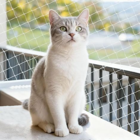 Filet Chat Balcon, 10 x 3 m Filet de Protection Chat, sans Perçage avec Corde D'installation et Accessoires, Transparent Filets de Protection pour Balcons, Terrasses, Fenêtres et Clôtures (1/5)