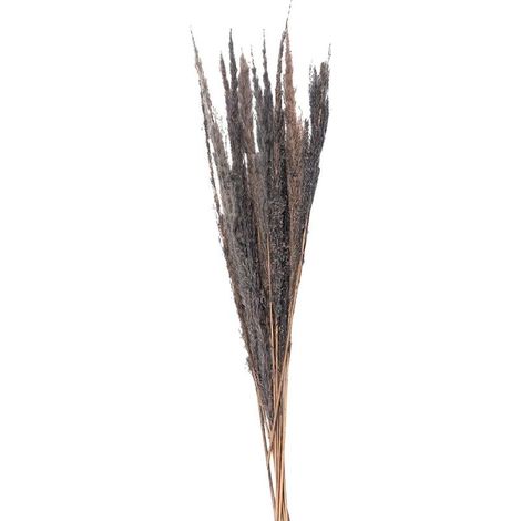 Fleurs Séchées pour Décoration Intérieure de Salon et Chambre - 100 cm - Lot de 10 - PANGIVO