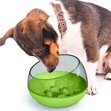 Bol d'alimentation Plus Lent pour Chien Bol d'alimentation pour Chien Anti-étouffement pour Animaux de Compagnie - Vert- (1/3)