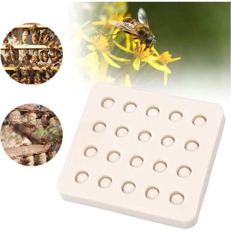 Moule d'élevage de reines d'abeilles en silicone 20 tasses Moule en cire d'abeille pour apiculture Tasse à cellules d'abeilles pour jardin, (1/4)