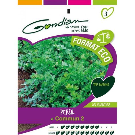 Gondian - Persil commun 2