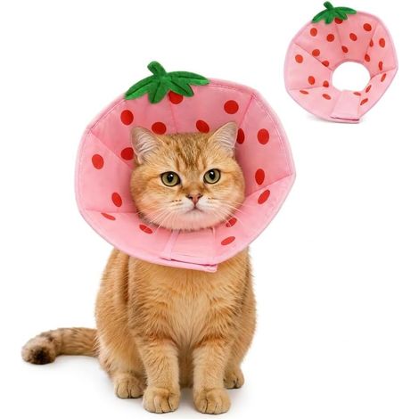 Collerette Chat Anti-Léchage Forme Fraise Rose Taille S 20-23CM (1/5)