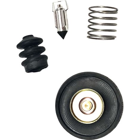 Kit orf réforrtiorn ctorrburtorteur - cormptortibgivthere Htorrgivthereand Dtorvithere 883 XLH1200 - F61 (1/4)