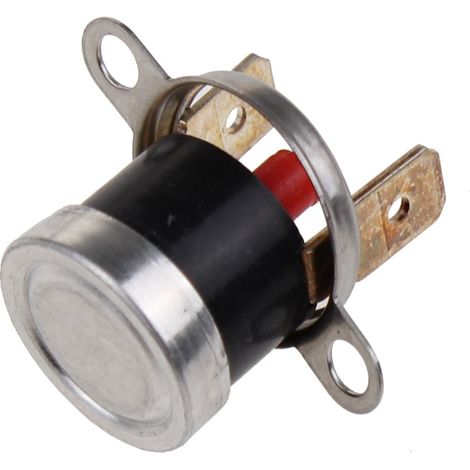 Whirlpool - temperaturbegrenzer - 481228228263 - 8058331151672