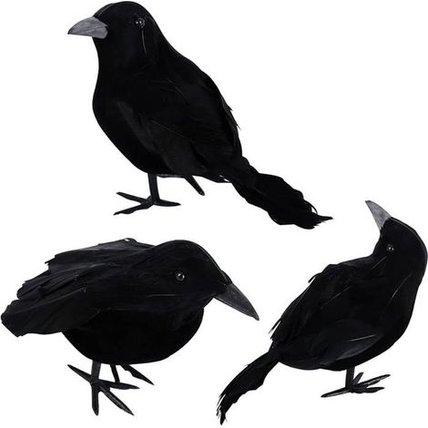 3 Paquets Corbeaux halloween Corbeaux Artificiels à Plumes Décorations Réalistes Oiseaux Corbeau Effrayant à Noir n DECORS DE TABLE (1/5)