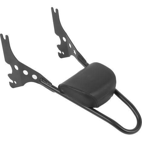 Kit de coussin de dossier amovible pour moto XL883C, XL883R, XL1200R, XL1200C et XLH883 (2004-2019) - Noir (1/5)