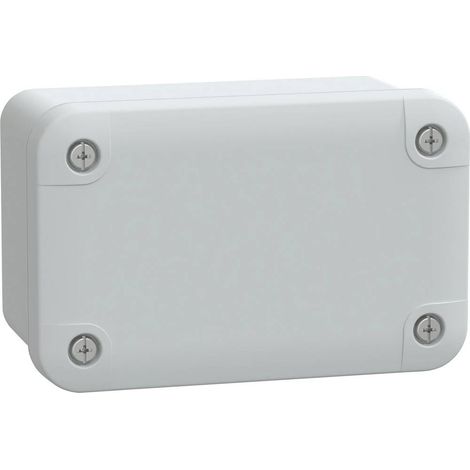 SCHNEIDER NSYTBS1176 Cassetta industriale in ABS 107x65x55 (1/5)