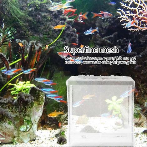 Boîte d'isolement multifonctionnelle en filet pour l'élevage de poissons, incubateur pour aquarium. (1/3)
