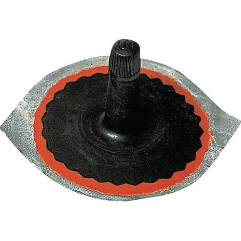 V谩lvula para coches REMA TIP TOP 5010136 (1/2)