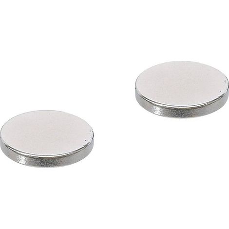 Jeu d'Aimants Extrapuissants D.18 mm - 2 pcs - Forte Attraction Magnétique, Pro - D-Work (1/5)