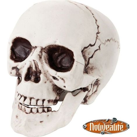 Teschio di plastica – Teschio decorativo – Plastica – Resina – 21 x 17 x 18 cm
